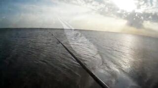 Оленевка - короткая рыбалка у берега 10.10.2018