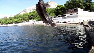 Форос: рыбалка с волнореза и креветка на насадку