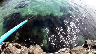 Форос: рыбалка с волнореза и креветка на насадку