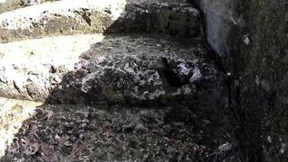 Форос: рыбалка с волнореза и креветка на насадку