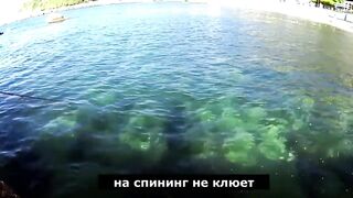 Форос: рыбалка с волнореза и креветка на насадку