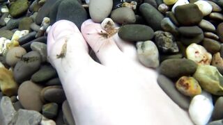 Форос: рыбалка с волнореза и креветка на насадку