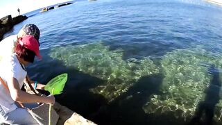 Форос: рыбалка с волнореза и креветка на насадку