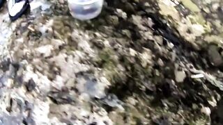 Форос: рыбалка с волнореза и креветка на насадку