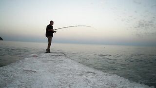 Гурзуф, Крым. Ставрида у берега и короткий выход