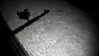 Гурзуф, Крым. Ставрида у берега и короткий выход