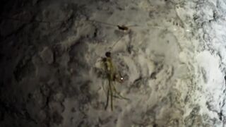 Гурзуф, Крым. Ставрида у берега и короткий выход