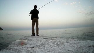 Гурзуф, Крым. Ставрида у берега и короткий выход