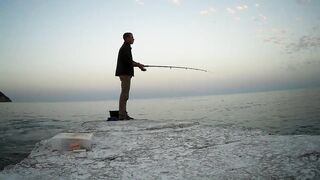 Гурзуф, Крым. Ставрида у берега и короткий выход