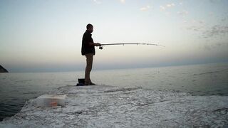 Гурзуф, Крым. Ставрида у берега и короткий выход