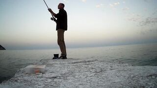 Гурзуф, Крым. Ставрида у берега и короткий выход