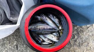 Гурзуф, Крым береговая рыбалка в мае 2022