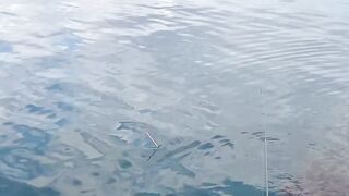 Гурзуф, Крым береговая рыбалка в мае 2022