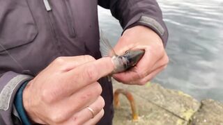 Гурзуф, Крым береговая рыбалка в мае 2022