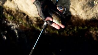 Алупка, Крым. Береговая рыбалка у волнореза