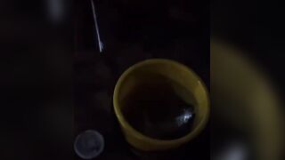 Ливадия, 4-й пляж. Что ловится и сколько поймали