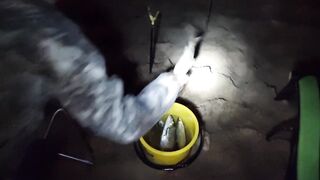 Ливадия, 4-й пляж. Что ловится и сколько поймали