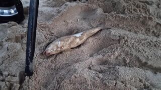 Ливадия, 4-й пляж. Что ловится и сколько поймали