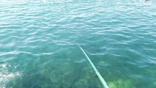 Мисхор, Крым сентябрьская рыбалка у берега улов слабый