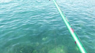 Мисхор, Крым сентябрьская рыбалка у берега улов слабый