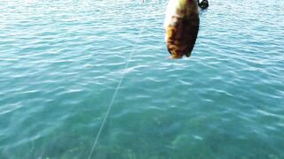 Мисхор, Крым сентябрьская рыбалка у берега улов слабый