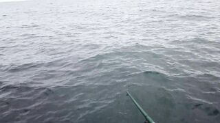 Мисхор, Крым сентябрьская рыбалка у берега улов слабый