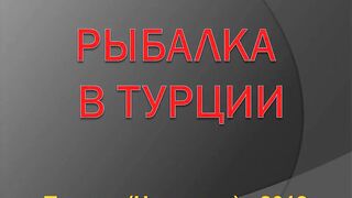 Чамьюва, Турция. Рыбалка у берега в 2018