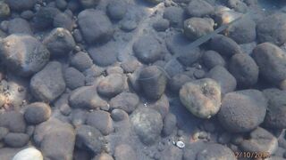 Чамьюва, Турция. Рыбалка у берега в 2018