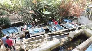 Чамьюва, Турция. Рыбалка у берега в 2018