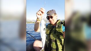 Чамьюва, Турция. Рыбалка у берега в 2018