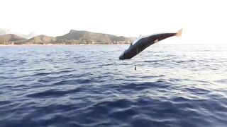 Чамьюва, Турция. Рыбалка у берега в 2018