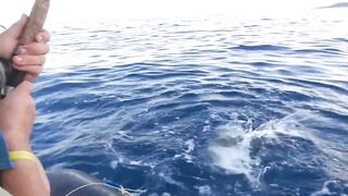 Чамьюва, Турция. Рыбалка у берега в 2018