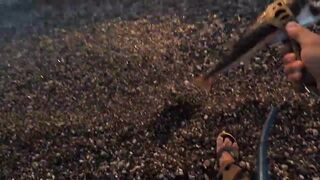 Кириш, Турция ультралайт у берега кто ловил рокфишинг