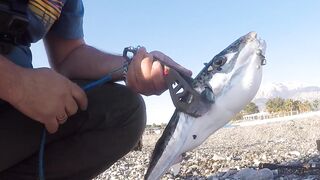 Кириш, Турция ультралайт у берега кто ловил рокфишинг