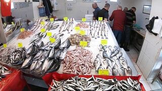 Кушадасы, Турция. Поездка на рыбалку с берега