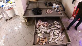 Кушадасы, Турция. Поездка на рыбалку с берега