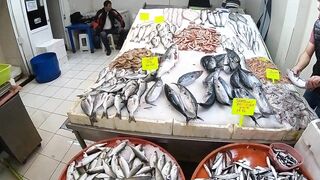 Кушадасы, Турция. Поездка на рыбалку с берега