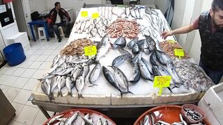 Кушадасы, Турция. Поездка на рыбалку с берега