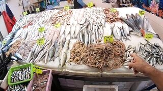 Кушадасы, Турция. Поездка на рыбалку с берега