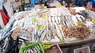 Кушадасы, Турция. Поездка на рыбалку с берега