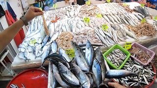 Кушадасы, Турция. Поездка на рыбалку с берега