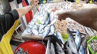 Кушадасы, Турция. Поездка на рыбалку с берега