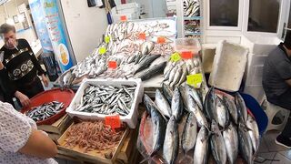 Кушадасы, Турция. Поездка на рыбалку с берега