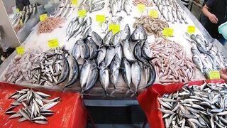 Кушадасы, Турция. Поездка на рыбалку с берега