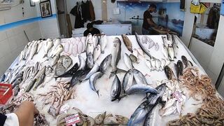 Кушадасы, Турция. Поездка на рыбалку с берега