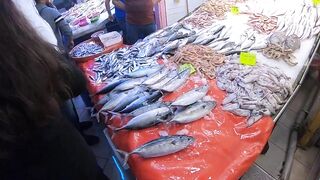 Кушадасы, Турция. Поездка на рыбалку с берега