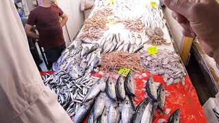 Кушадасы, Турция. Поездка на рыбалку с берега