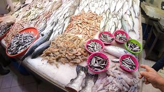 Кушадасы, Турция. Поездка на рыбалку с берега