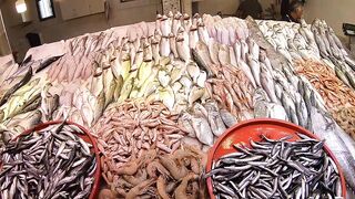 Кушадасы, Турция. Поездка на рыбалку с берега