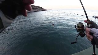 Кушадасы. Спиннинг с пляжа и прибрежные точки